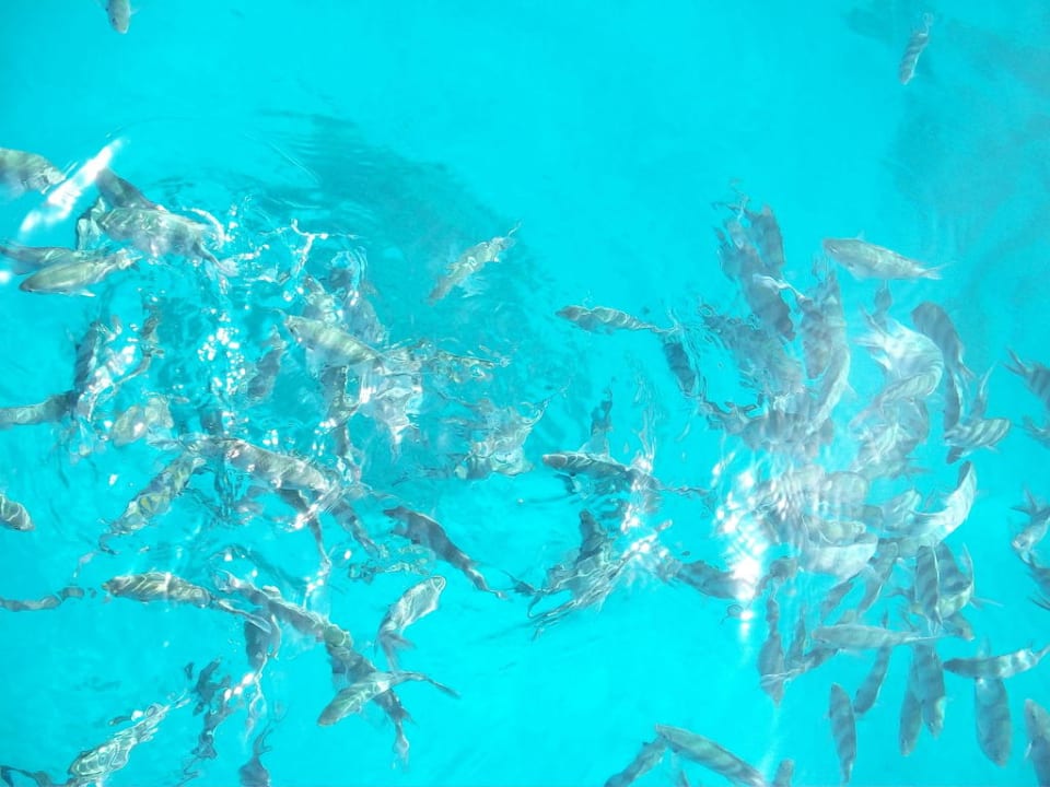 Plaża Sunny Days Palma De Mirette Resort & Spa