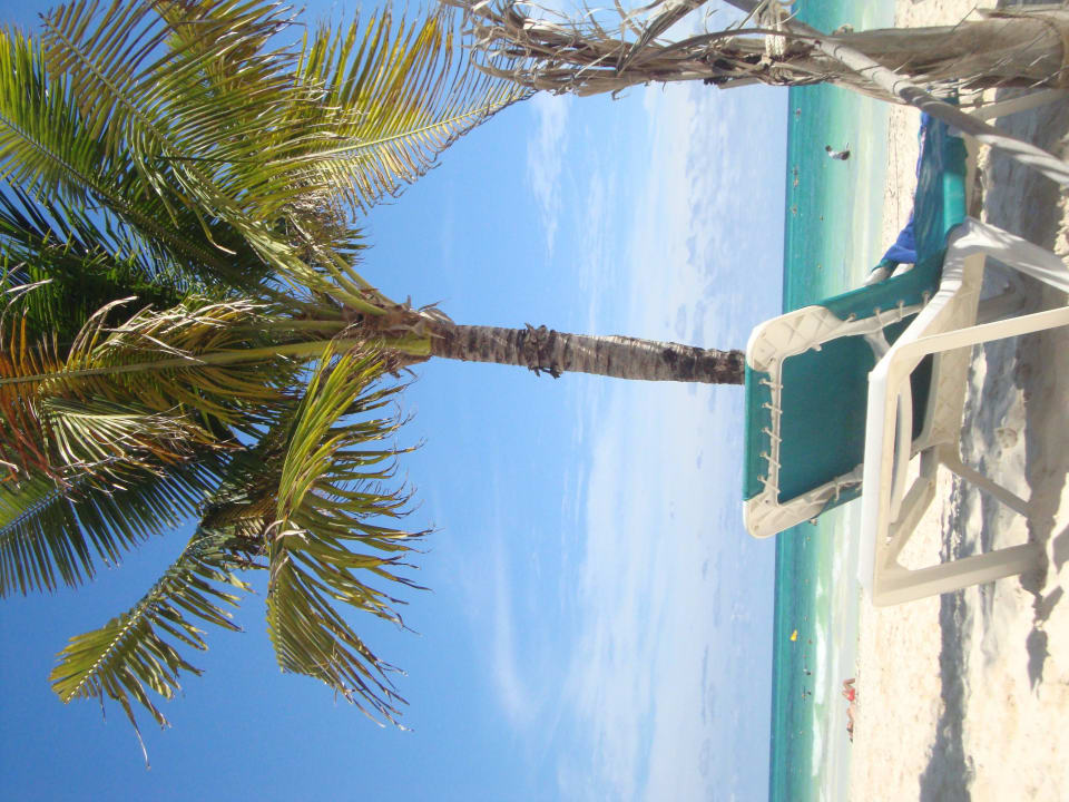 Hotel Catalonia Playa Maroma Catalonia Playa Maroma