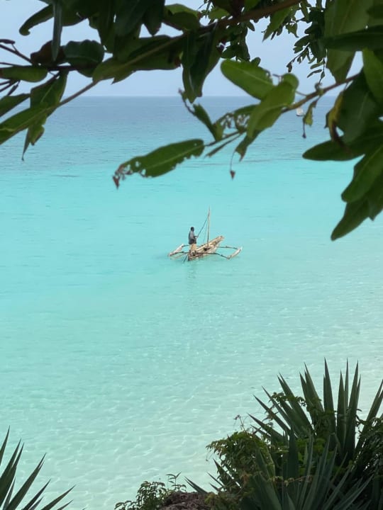 Ausblick Hotel Riu Palace Zanzibar