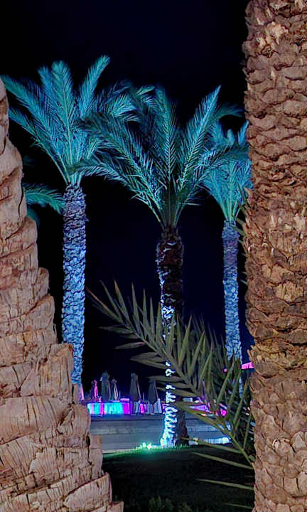 Gartenanlage Iberostar Waves Averroes