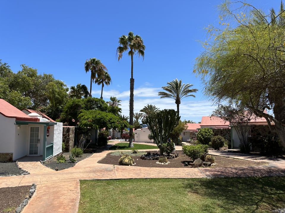 Gartenanlage Aldiana Club Fuerteventura