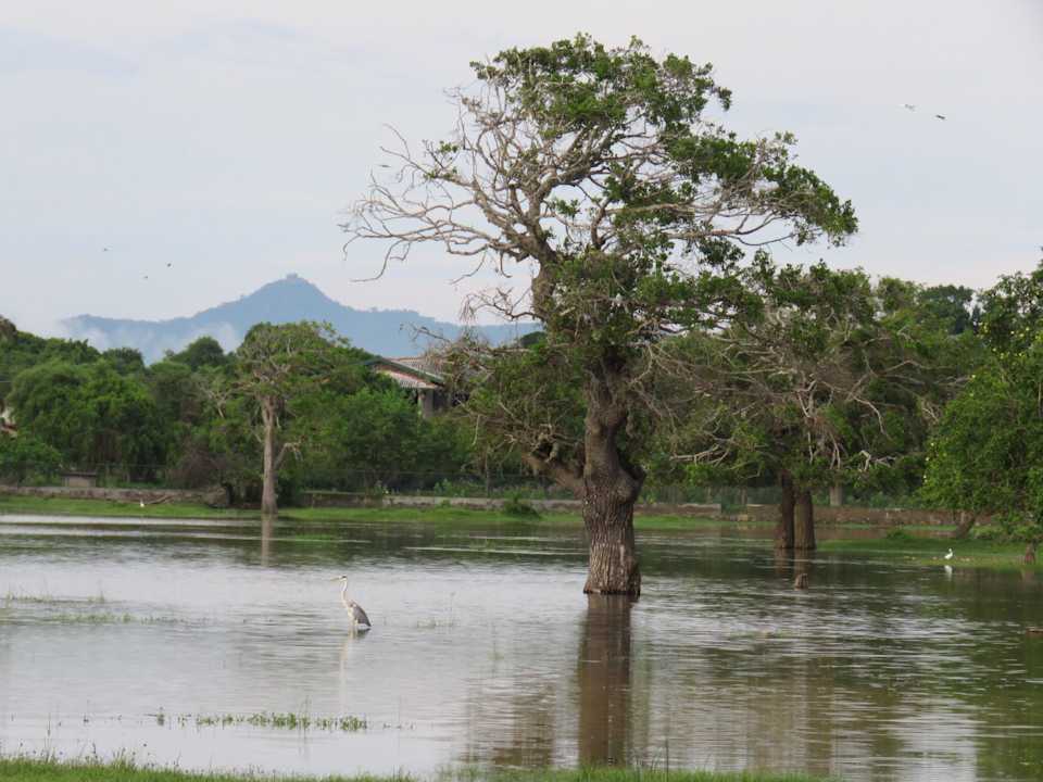 Lake The Yala Adventure
