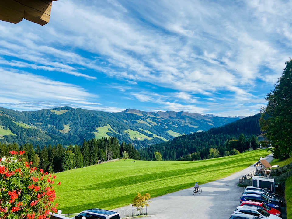 Ausblick Gasthof Almhof