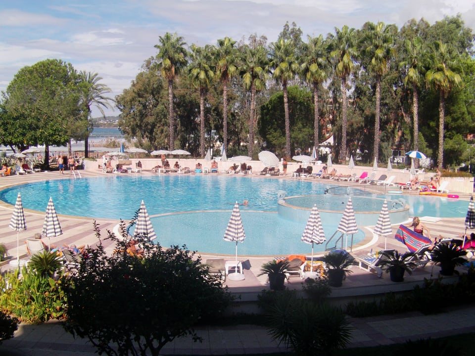 Die Poolanlage Top Hotel