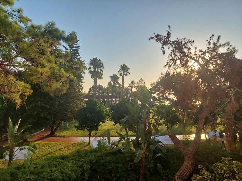 Ausblick TUI MAGIC LIFE Beldibi +16