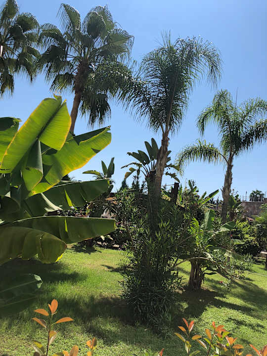 Gartenanlage Saphir Resort & Spa