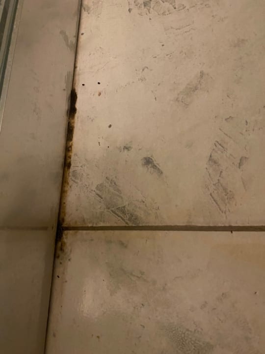 Zimmer Viva Beach Hotel