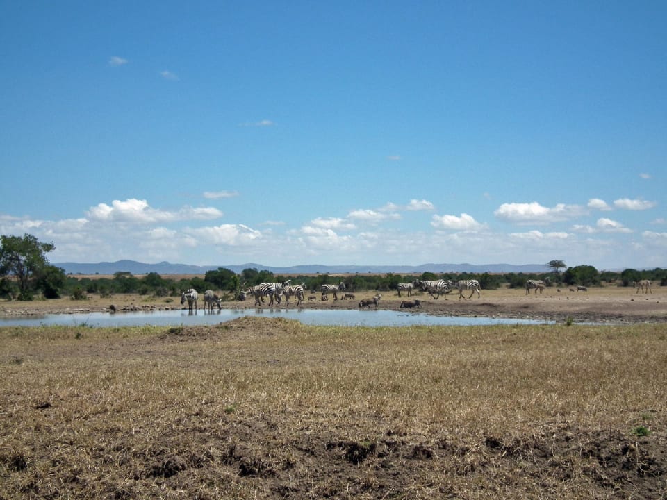 Das Wasserloch, das nachts beleuchtet wird Sweetwaters Serena Camp