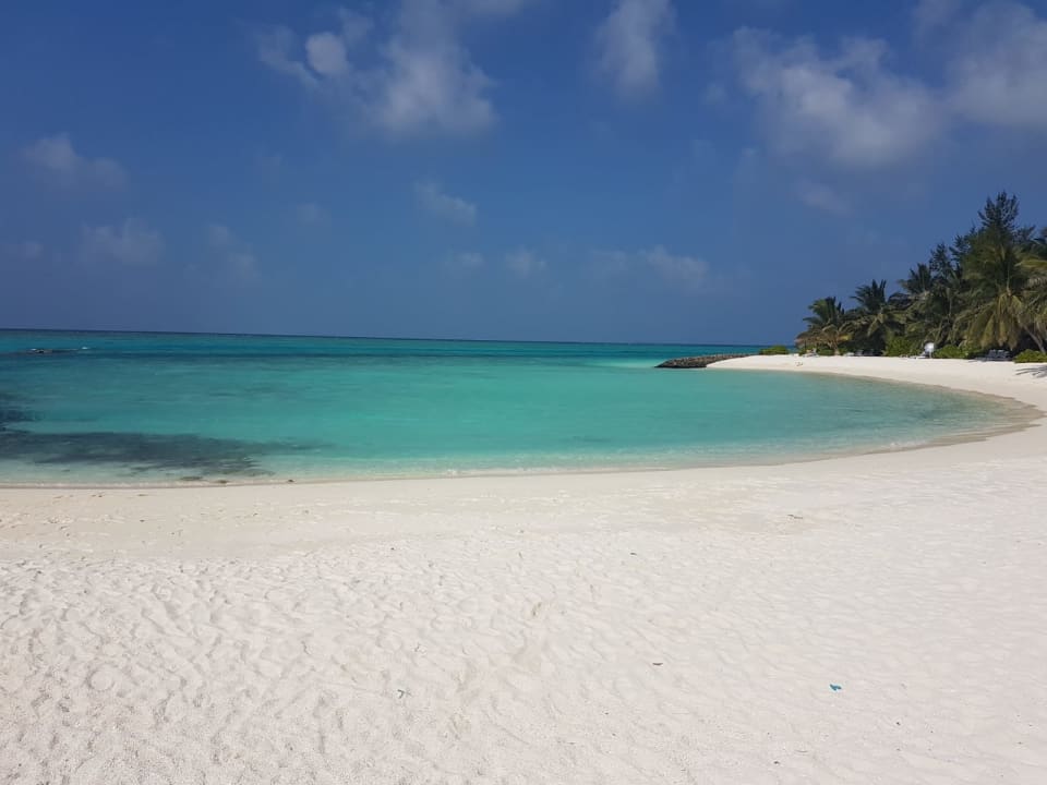 Strand Summer Island Maldives