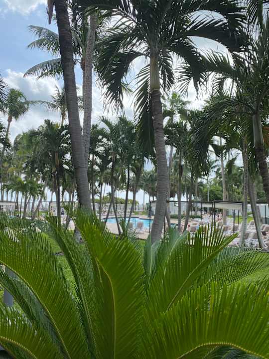 Außenansicht Hotel Riu Plaza Miami Beach