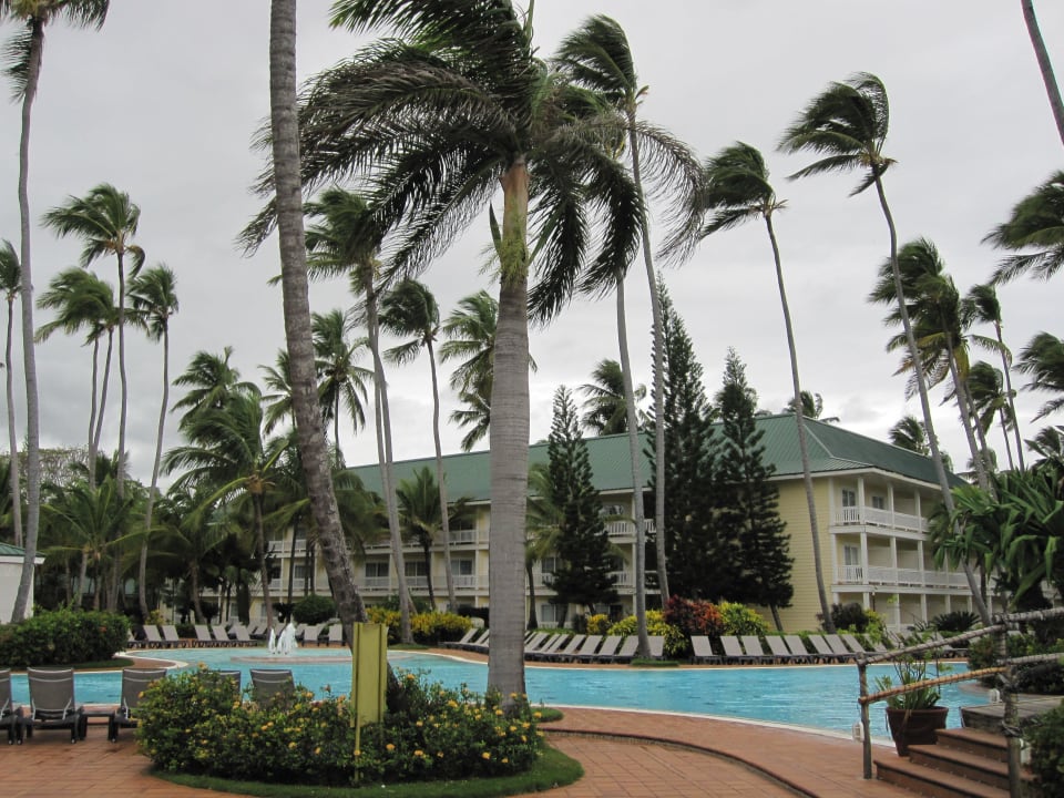 Pool Barceló Bávaro Palace