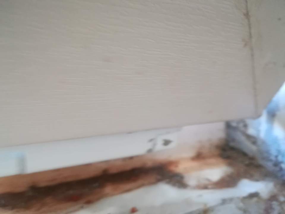 Sonstiges Selectum Family Comfort Side