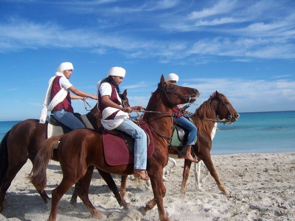 Reiterspiele Heiligabend Djerba Aqua Resort