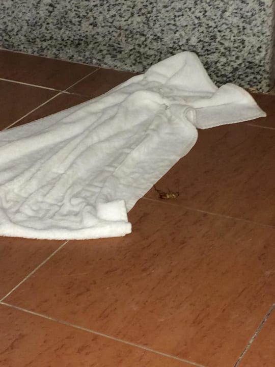 Tierchen Arabella Azur Resort