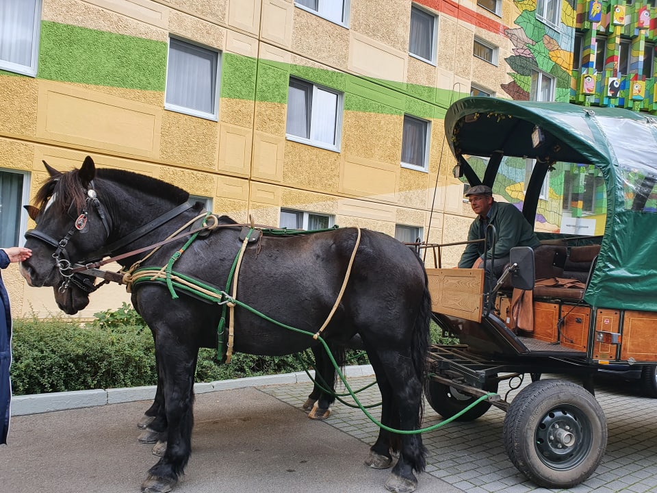 Sport & Freizeit AHORN Seehotel Templin