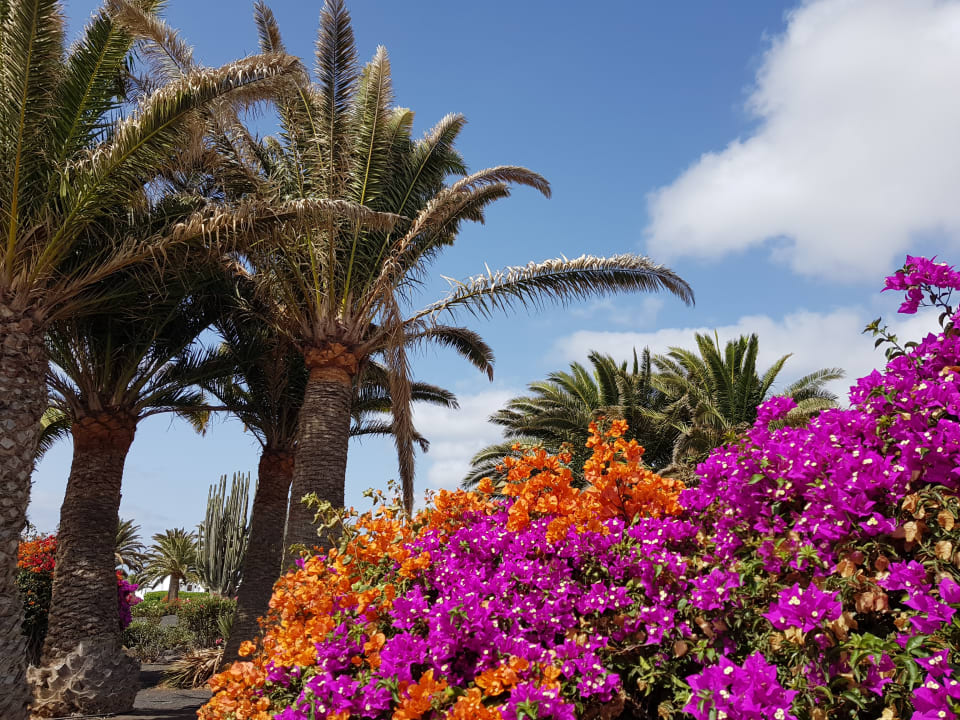 Gartenanlage Relaxia Olivina