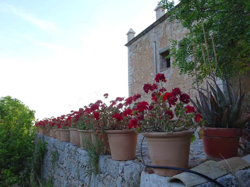 Außenansicht Hotel Son Boronat