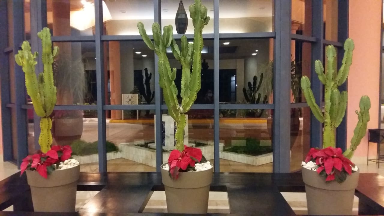 Sonstiges H10 Tindaya