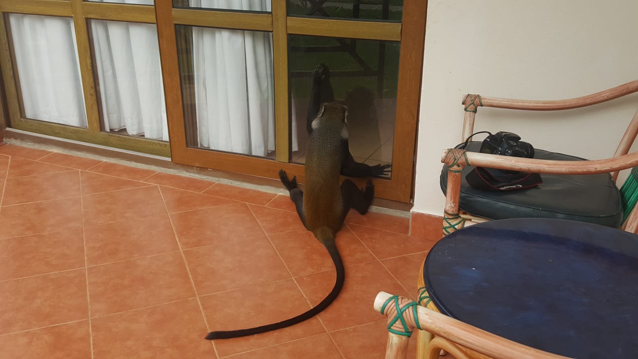 Zimmer Neptune Village Beach Resort & Spa