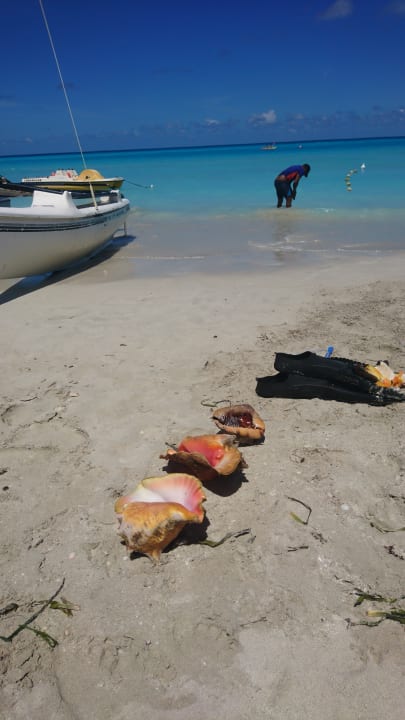 Leider überall zu sehen Sol Hicacos Varadero