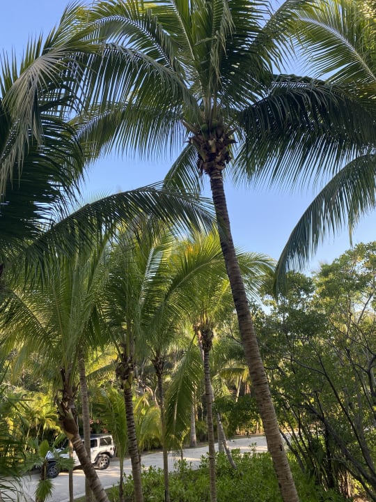 Gartenanlage Akumal Bay Beach & Wellness Resort