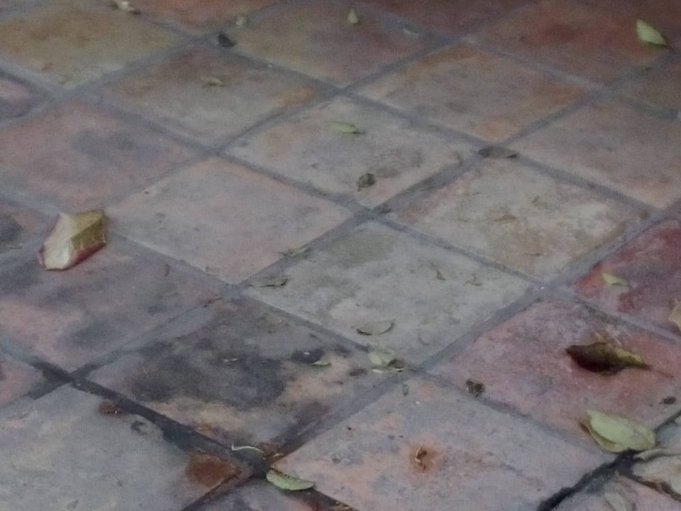 Fussboden, Frühstücksbereich Hotel Bayside Inn Key Largo