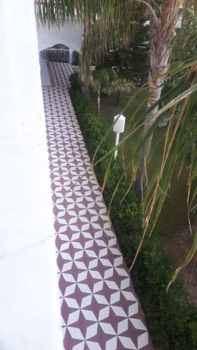 Ausblick Royal Taj Mahal Hotel