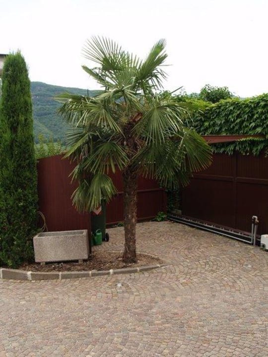 Hofeinfahrt mit Palme Hotel Sonnleitenhof Garni