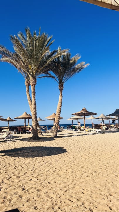 Strand Malikia Resort Abu Dabbab