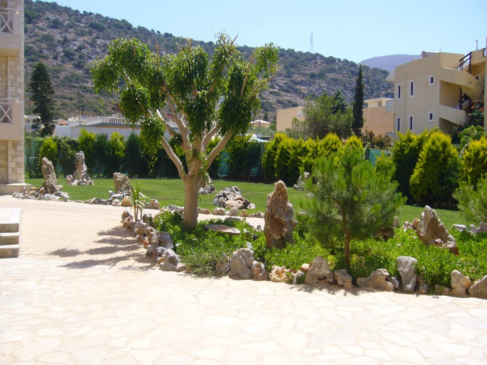 Aussenanlage Cactus Royal