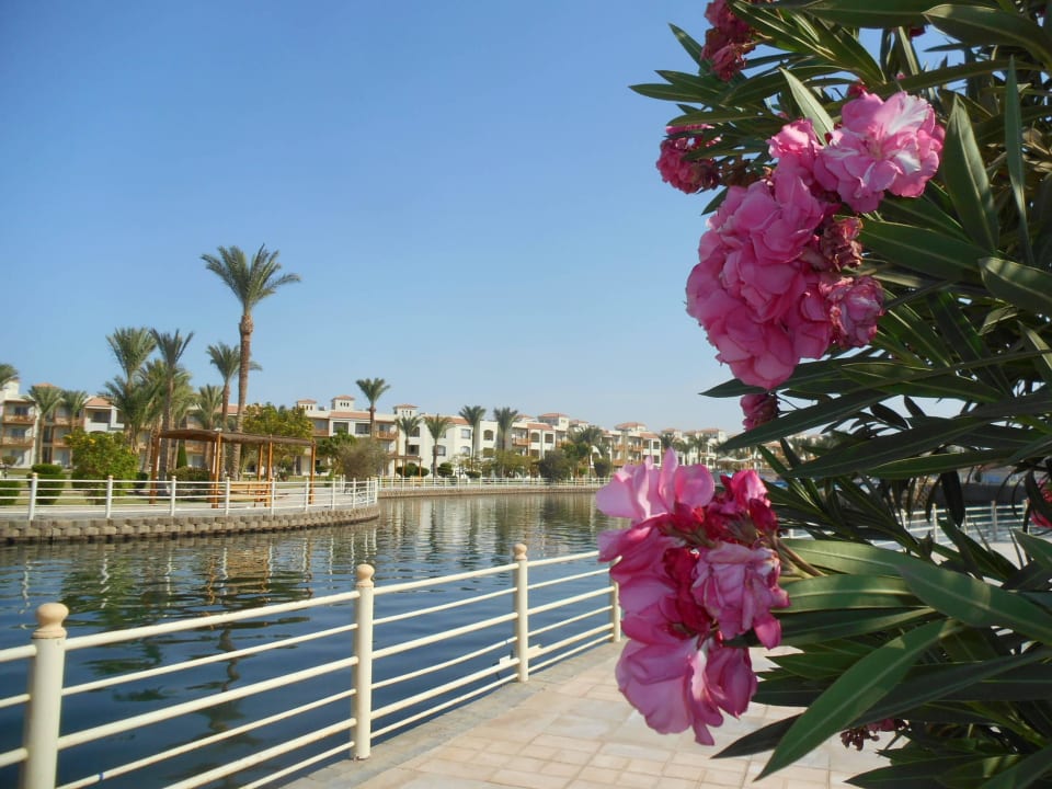 Blick auf die Salzwasserlagune Pickalbatros Dana Beach Resort - Hurghada