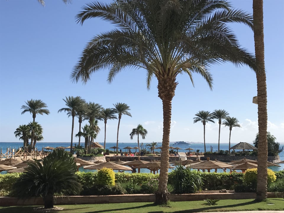 Ausblick Marriott Hurghada Beach Resort