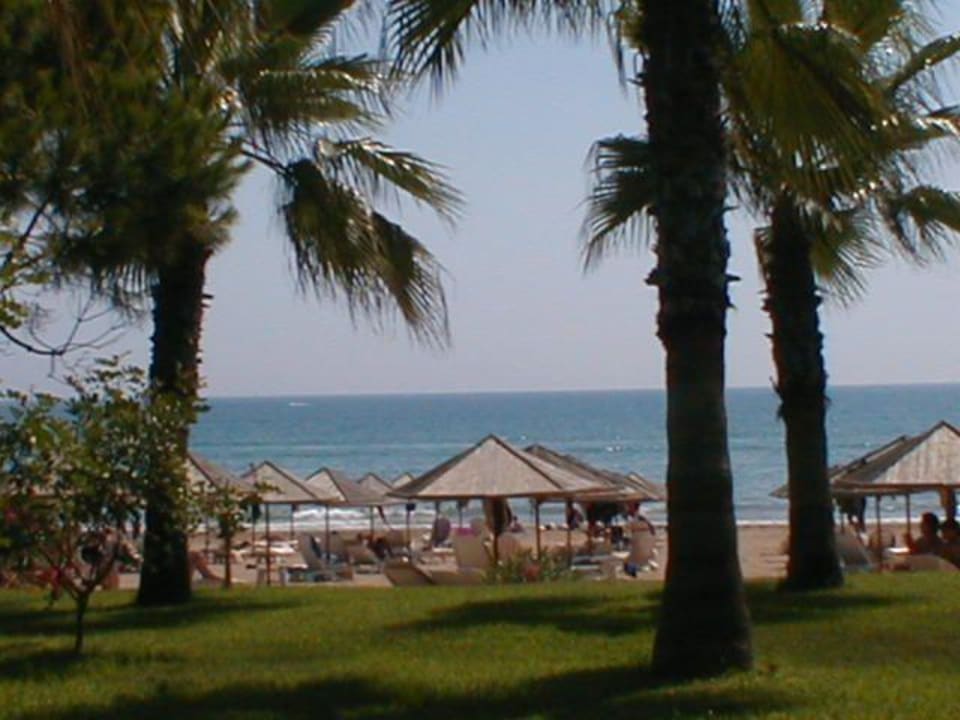 Toller Blick zum Strand im Defne Ana Hotel Defne Ana