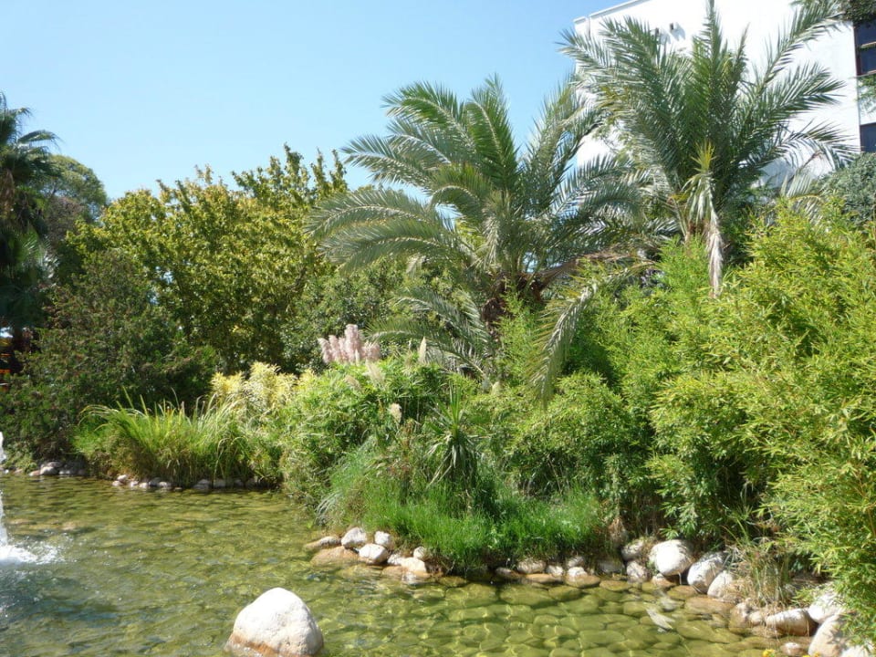 Brunnen/Teich am Restaurant Labranda Alantur Resort