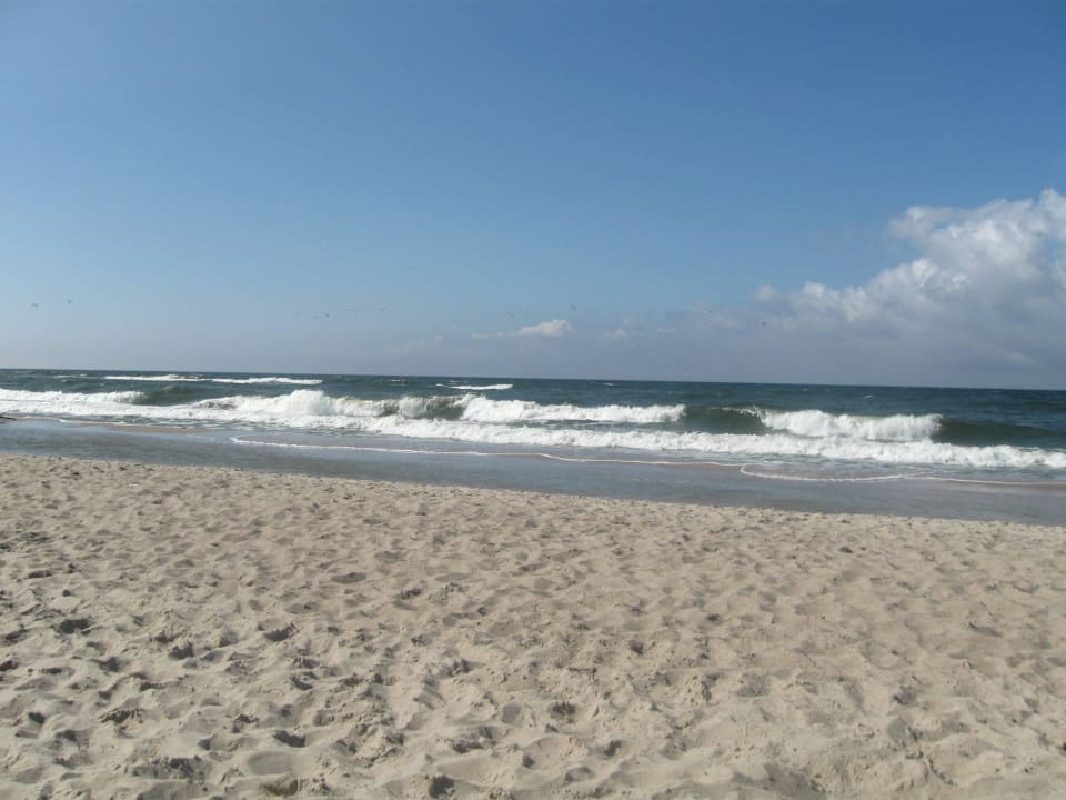 Plaża w Dąbkach Delfin Spa & Wellness