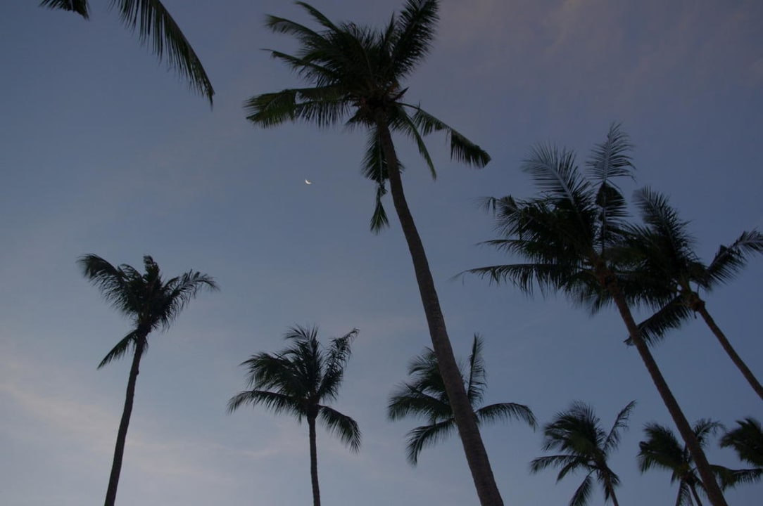 Palmen Hotel Ao Nang Paradise Resort