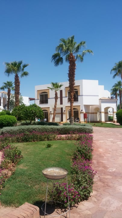 Außenansicht Amphoras Blu