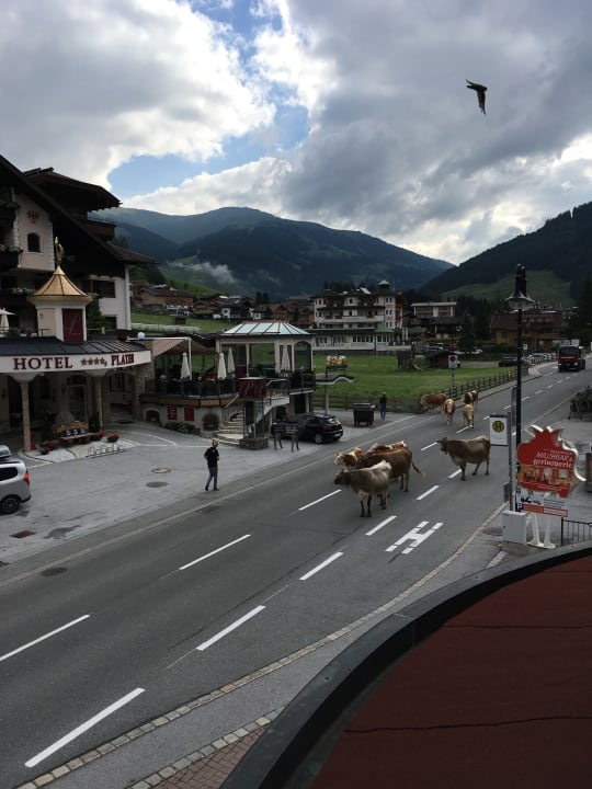 Außenansicht Appartements Gerlosperle