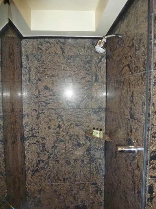 Dusche InterContinental Johannesburg Sandton Towers