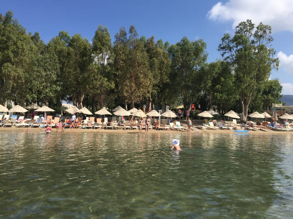 Ausblick Asteria Venus Didim