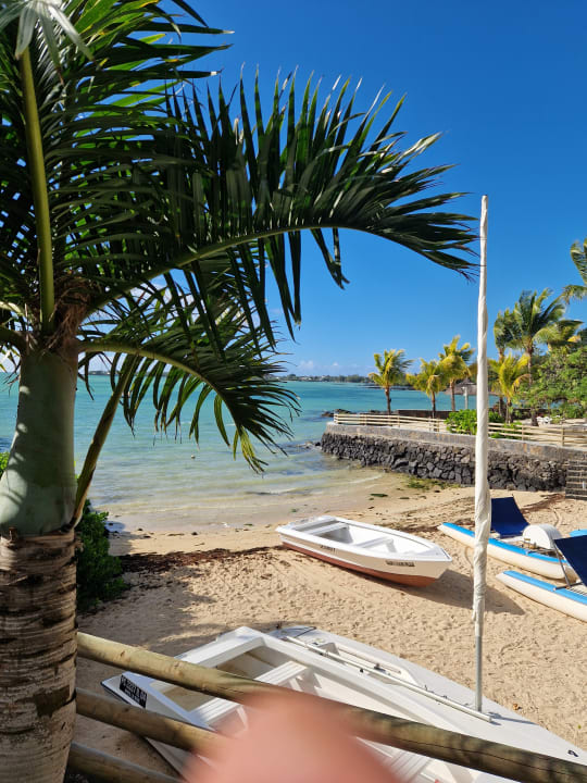 Sport & Freizeit Lagoon Attitude - Adults only