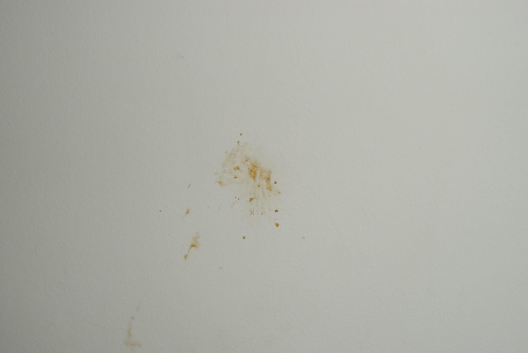 Opluta ściana Berlin Golden Beach