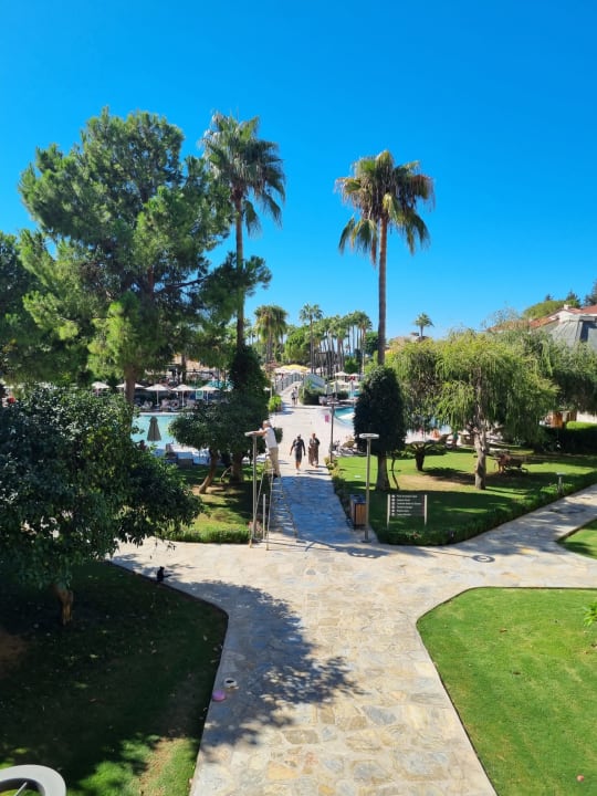 Pool Arum Barut Collection