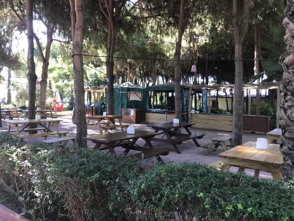 Gastro Club Turtas Beach Hotel