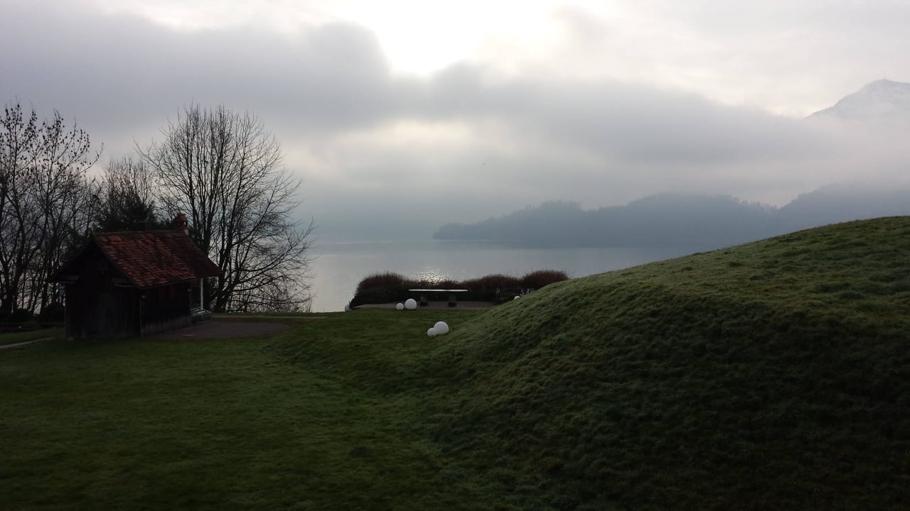 Blich auf den Zuger See und Rigi Hotel Waldheim