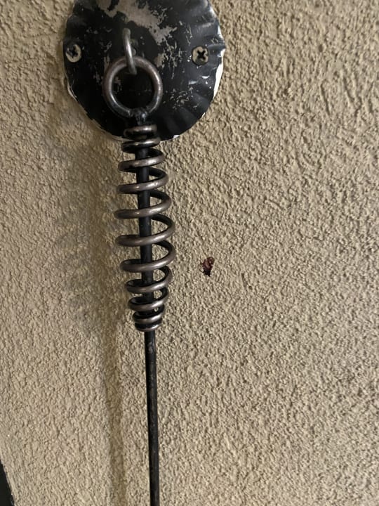 Zimmer Center Parcs Park Nordseeküste