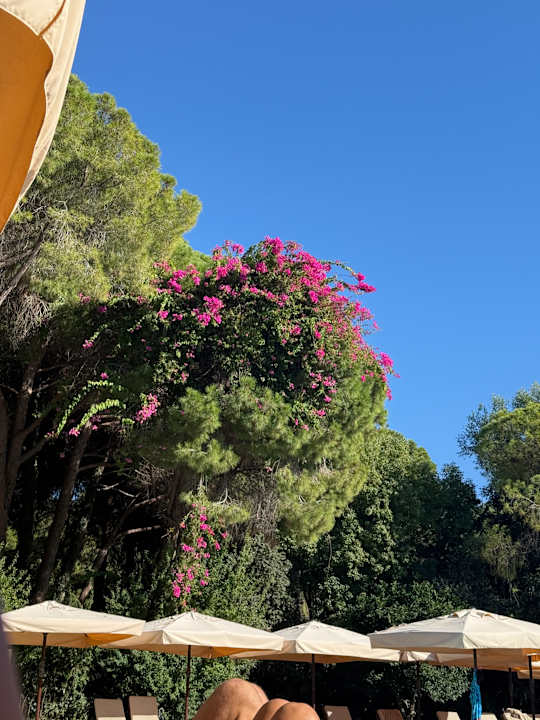 Pool Ali Bey Resort Sorgun