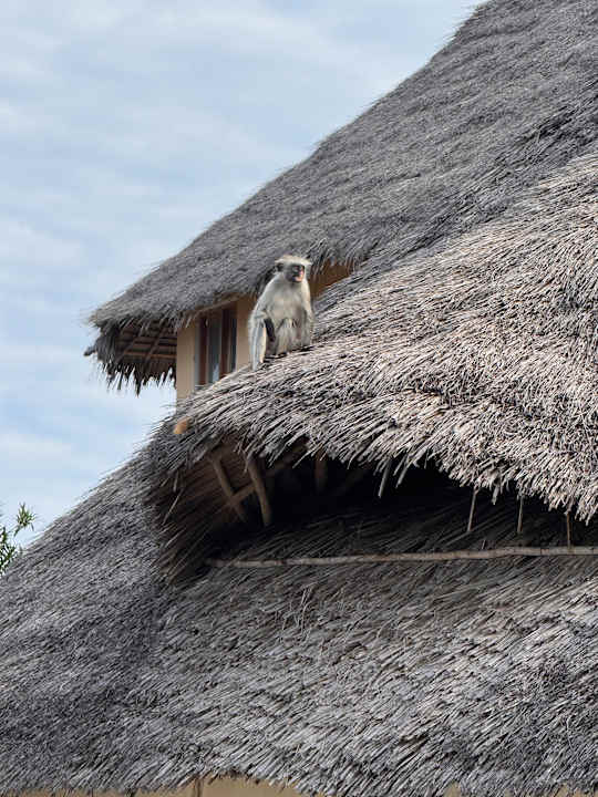 Strand Reef & Beach Resort