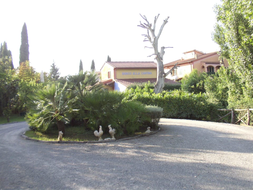 Gartenanlage und Parkplatz Hotel Fattoria Santa Lucia