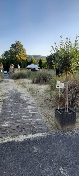 Gartenanlage Hotel Freund